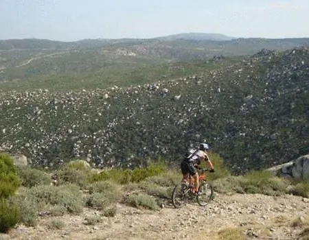 Agro-turismo - Quinta Do Pinheiro