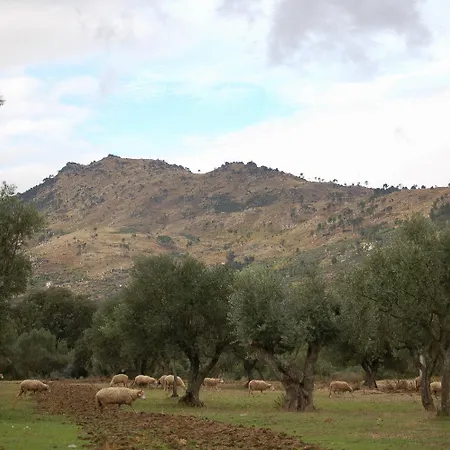 Casa de hóspedes Agro-turismo - Quinta Do Pinheiro Cavadoude