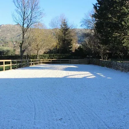 Agro-turismo - Quinta Do Pinheiro Gæstehus 4*