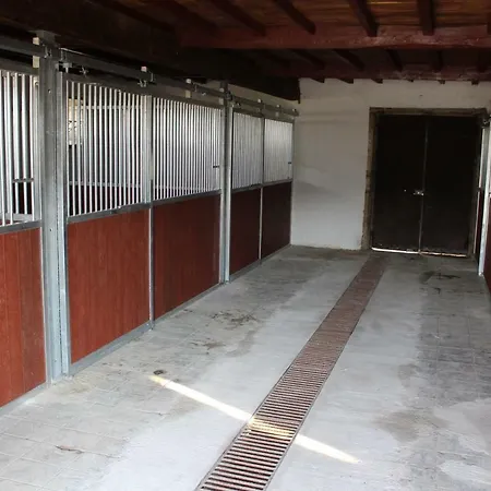 Agro-turismo - Quinta Do Pinheiro בית הארחה Cavadoude