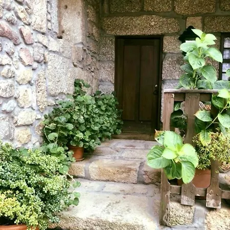 Casa de hóspedes Agro-turismo - Quinta Do Pinheiro *