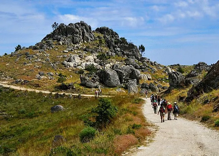 بيت ضيافة Agro-turismo - Quinta Do Pinheiro Cavadoude