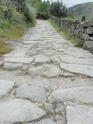 Agro-turismo - Quinta Do Pinheiro 4*