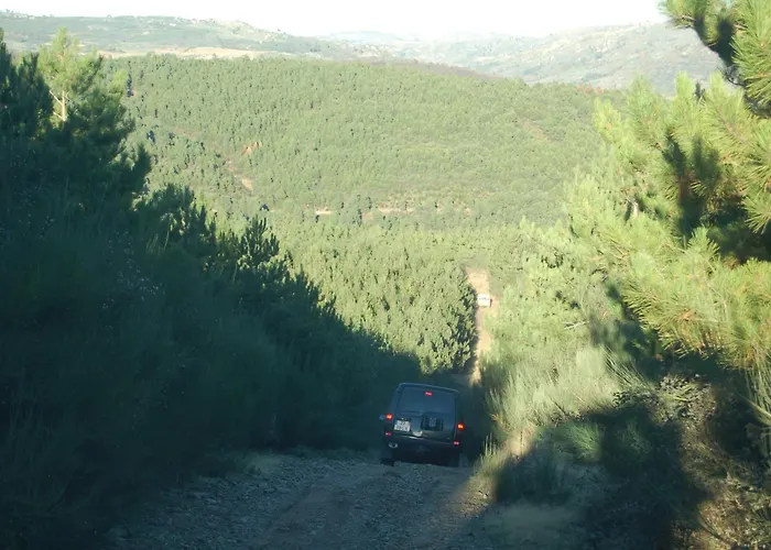 Agro-turismo - Quinta Do Pinheiro Cavadoude