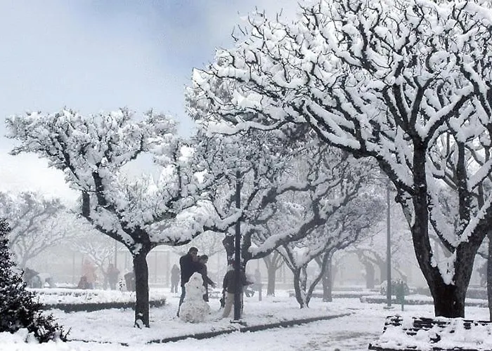 Agro-turismo - Quinta Do Pinheiro بيت ضيافة 4*