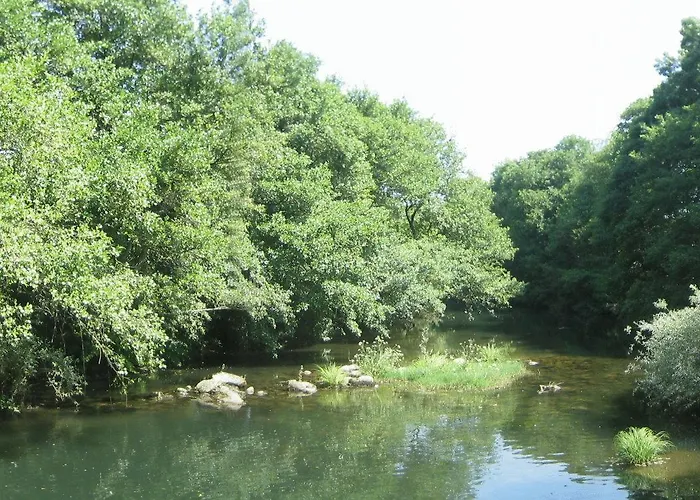 بيت ضيافة Agro-turismo - Quinta Do Pinheiro Cavadoude