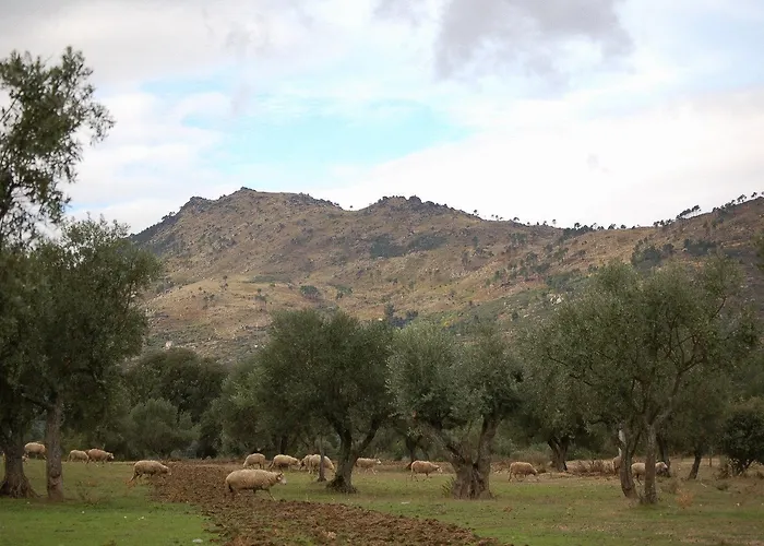 بيت ضيافة Agro-turismo - Quinta Do Pinheiro Cavadoude