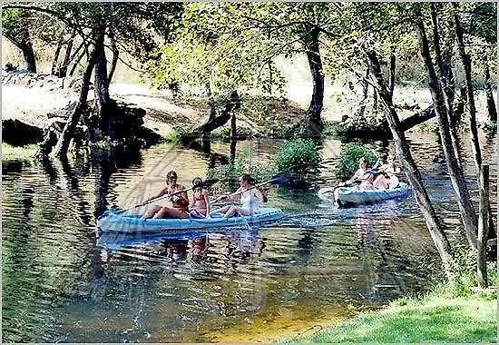 Agro-turismo - Quinta Do Pinheiro بيت ضيافة 4*