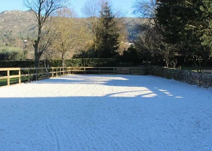 Agro-turismo - Quinta Do Pinheiro بيت ضيافة 4*