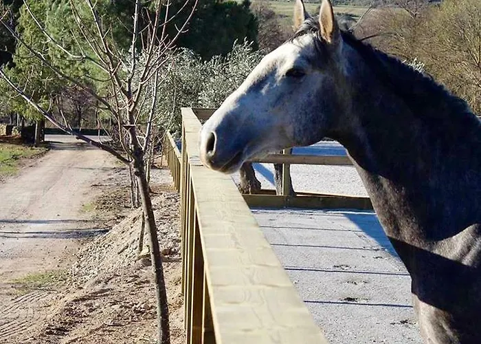 Agro-turismo - Quinta Do Pinheiro 4* Cavadoude