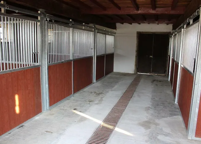 Agro-turismo - Quinta Do Pinheiro بيت ضيافة Cavadoude